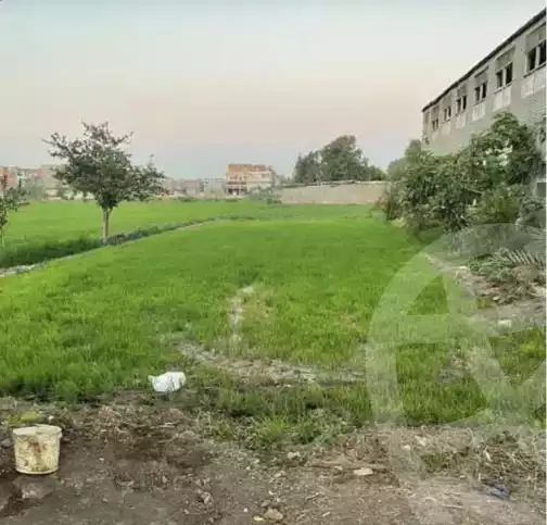 https://aqarmap.com.eg/en/listing/5462606-for-sale-dakahlia-talkha-kafr-damera-el-geded