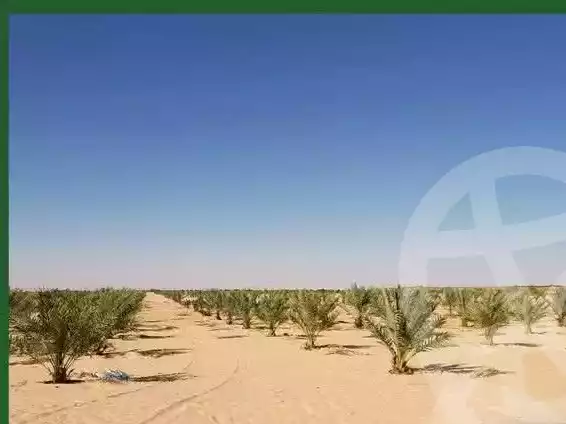 https://aqarmap.com.eg/en/listing/5462808-for-sale-marsa-matruh-siwa-oasis-wahet-siwaa-city