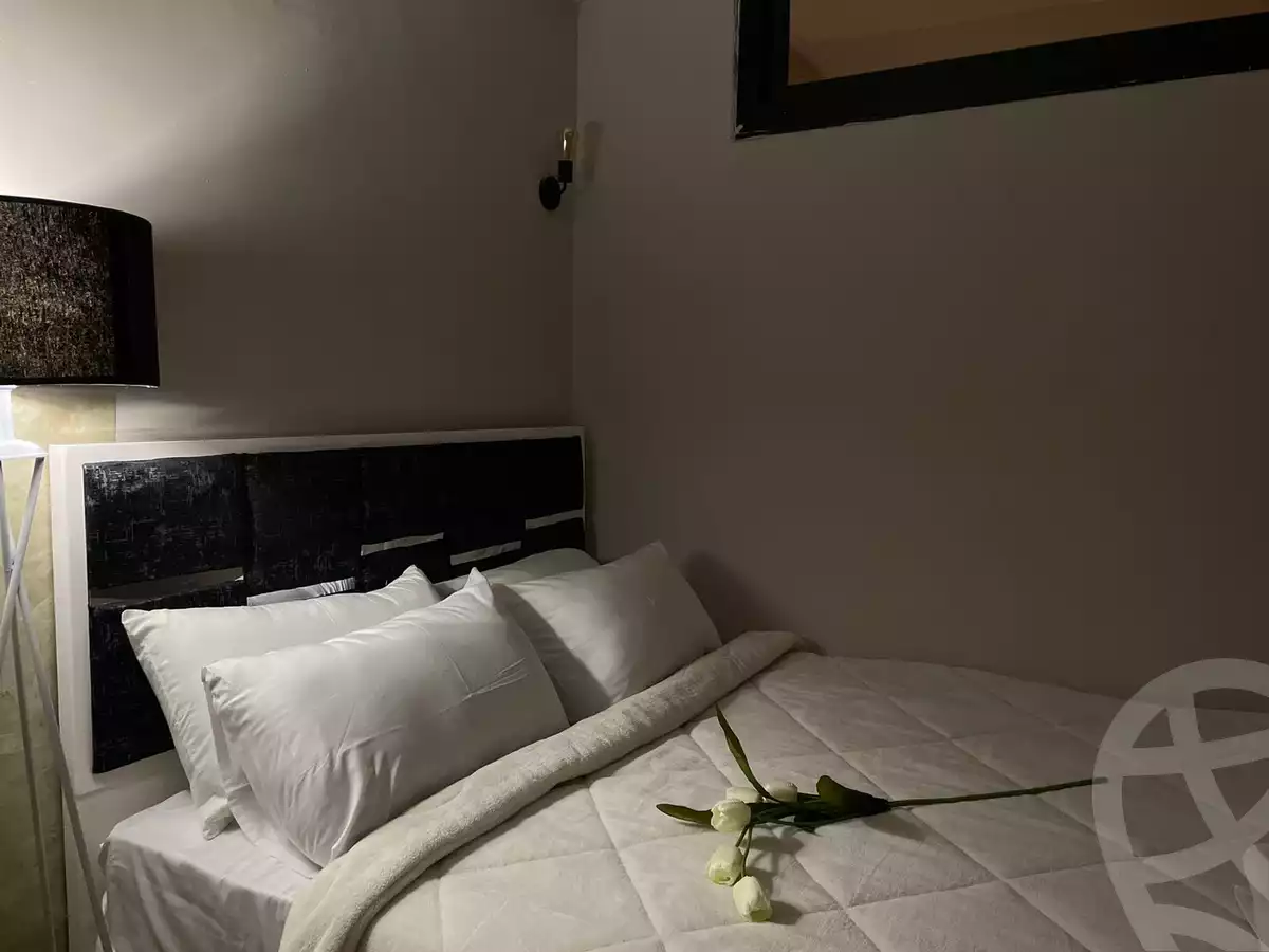 https://aqarmap.com.eg/en/listing/5466064-for-rent-cairo-al-zamalek