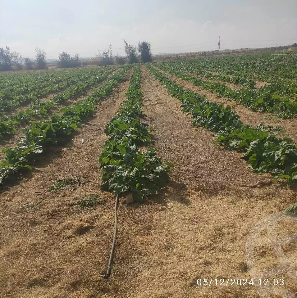 https://aqarmap.com.eg/en/listing/5466544-for-sale-beheira-wadi-el-natrun