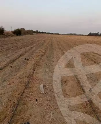 https://aqarmap.com.eg/en/listing/5470953-for-sale-beheira-wadi-el-natrun