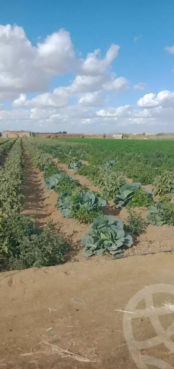 https://aqarmap.com.eg/ar/listing/5471563-for-sale-cairo-ljyz-l-yt