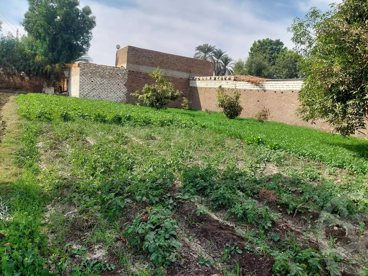 https://aqarmap.com.eg/ar/listing/5477500-for-sale-luxor-el-bayadiyah-el-bayadiyah-city