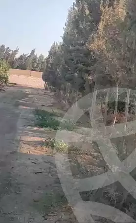 https://aqarmap.com.eg/en/listing/5477786-for-sale-beheira-wadi-el-natrun