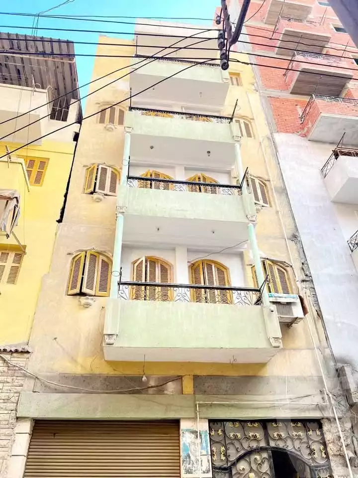 https://aqarmap.com.eg/en/listing/5485103-for-sale-gharbia-tanta-tanta-city-el-nahas-st