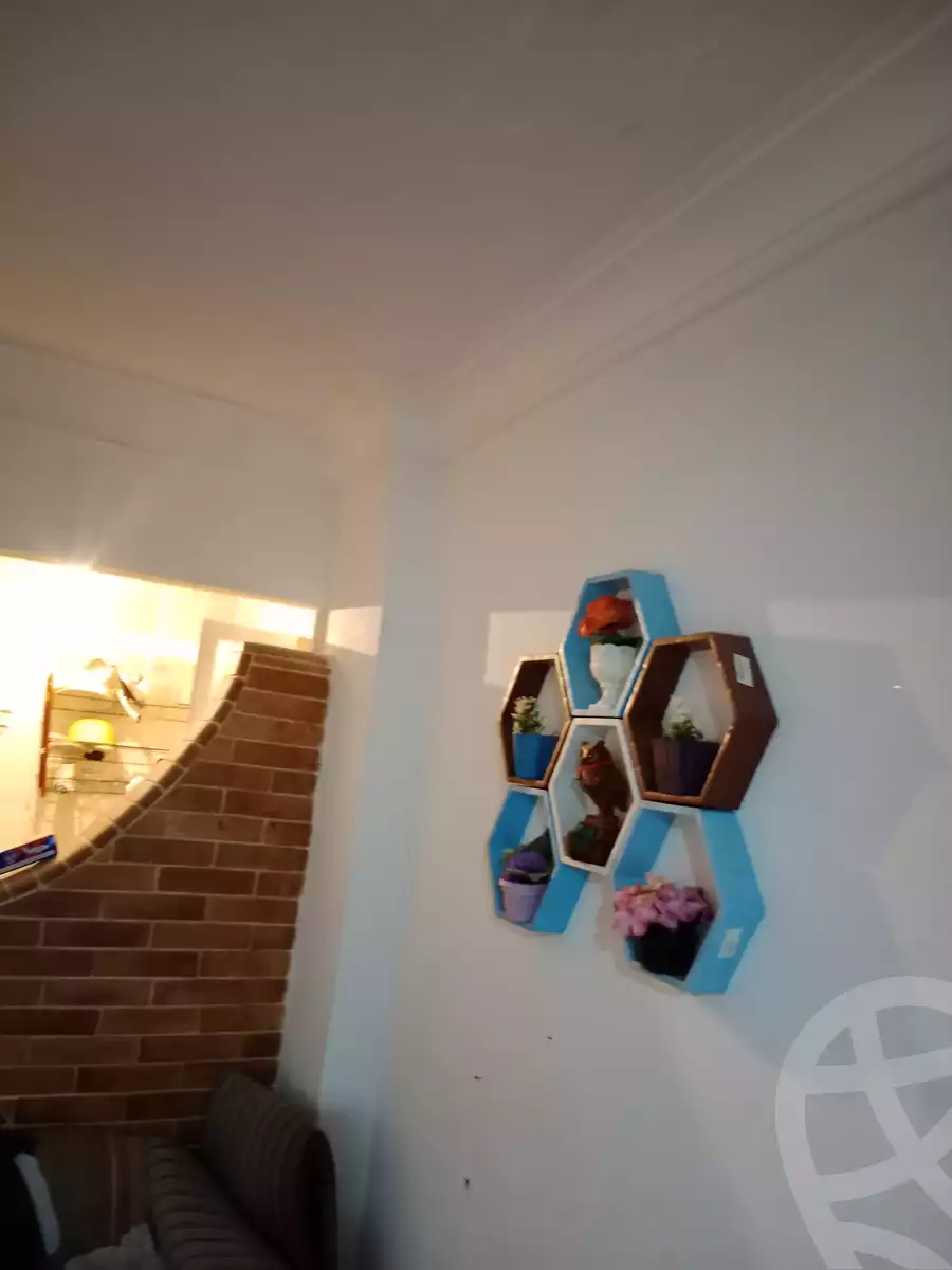 https://aqarmap.com.eg/en/listing/5516865-for-rent-alexandria-l-jmy-shataa-el-nakheel-octuber-al-nakhel-st