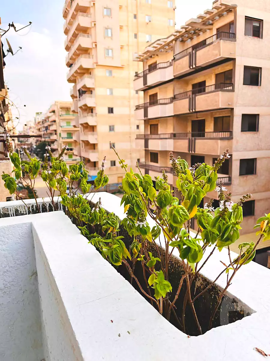 https://aqarmap.com.eg/ar/listing/5531281-for-sale-alexandria-l-jmy-shataa-el-nakheel