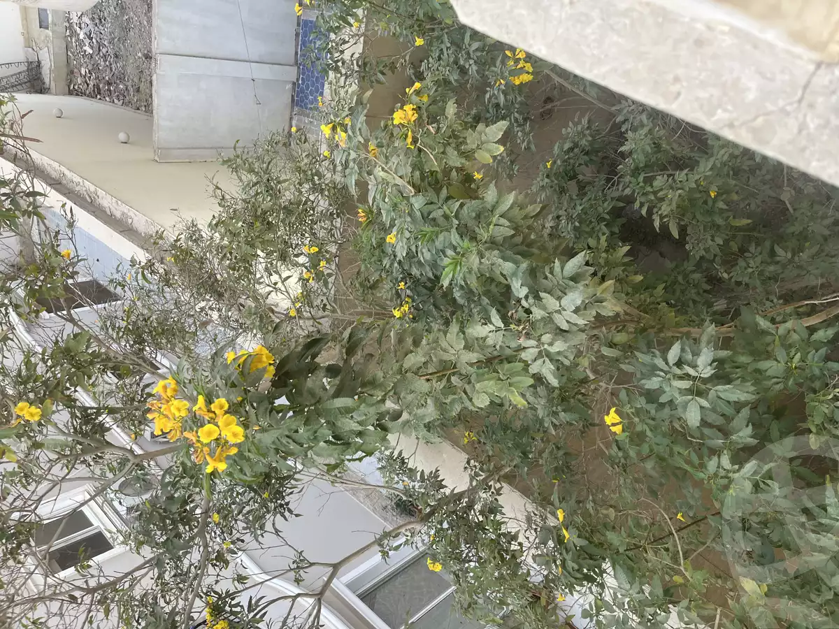 https://aqarmap.com.eg/en/listing/5537706-for-rent-cairo-new-cairo-el-narges-el-narges-3-soliman-azabi-st