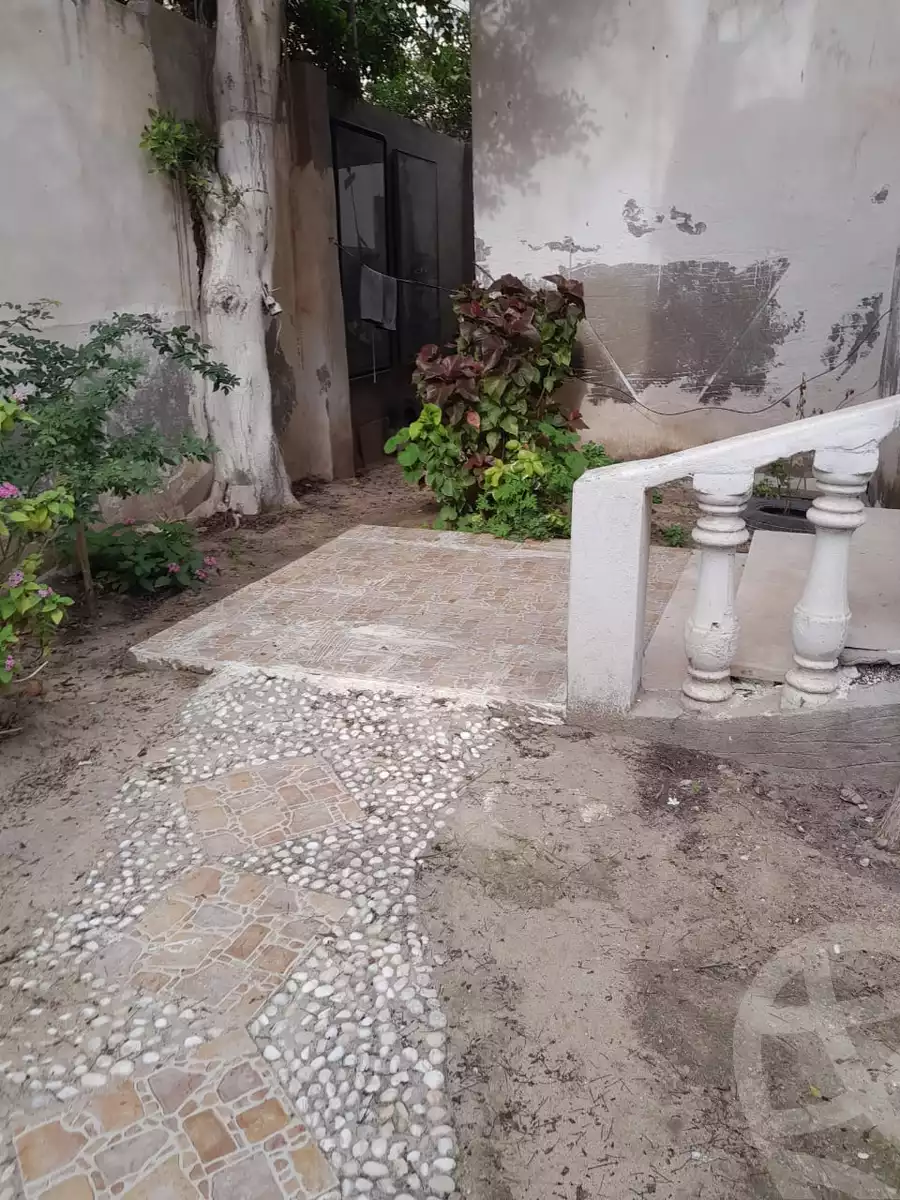 https://aqarmap.com.eg/en/listing/5896511-for-sale-alexandria-l-jmy-shataa-el-nakheel