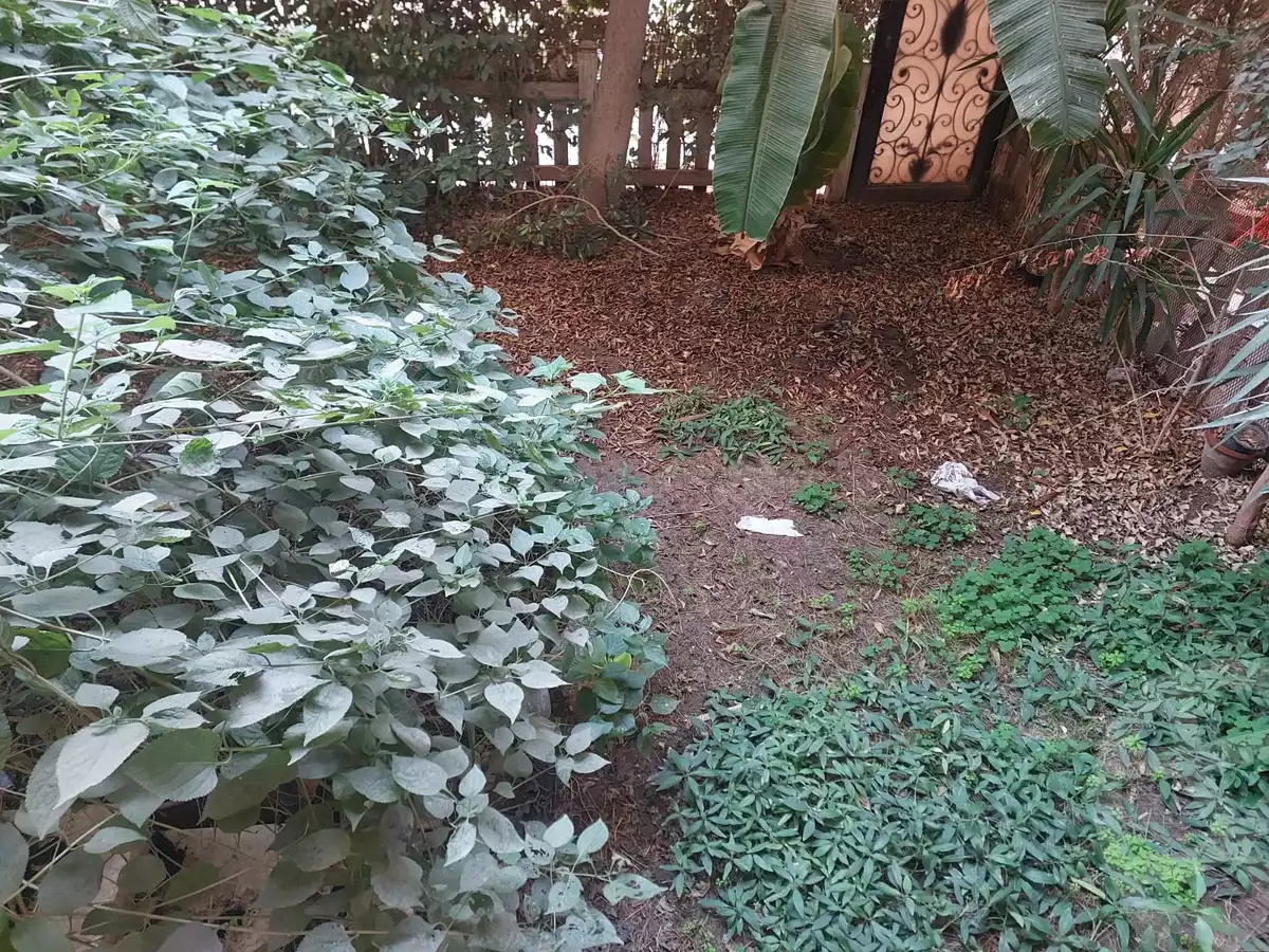 https://aqarmap.com.eg/en/listing/5540076-for-sale-cairo-new-cairo-lrhb-city-phase-1-salah-abd-al-sabour-st