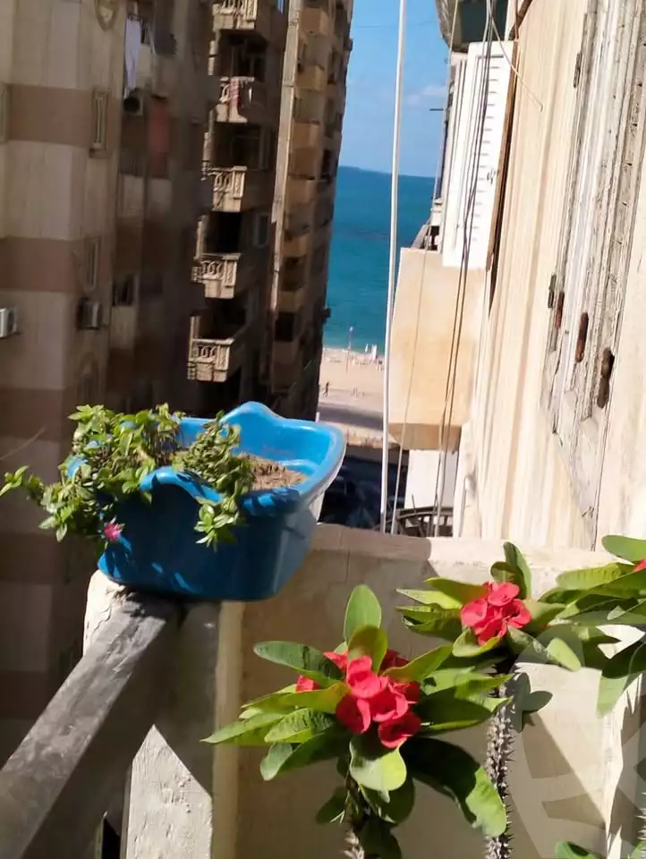 https://aqarmap.com.eg/en/listing/5542906-for-sale-alexandria-el-mandara-shr-jml-bd-lnsr