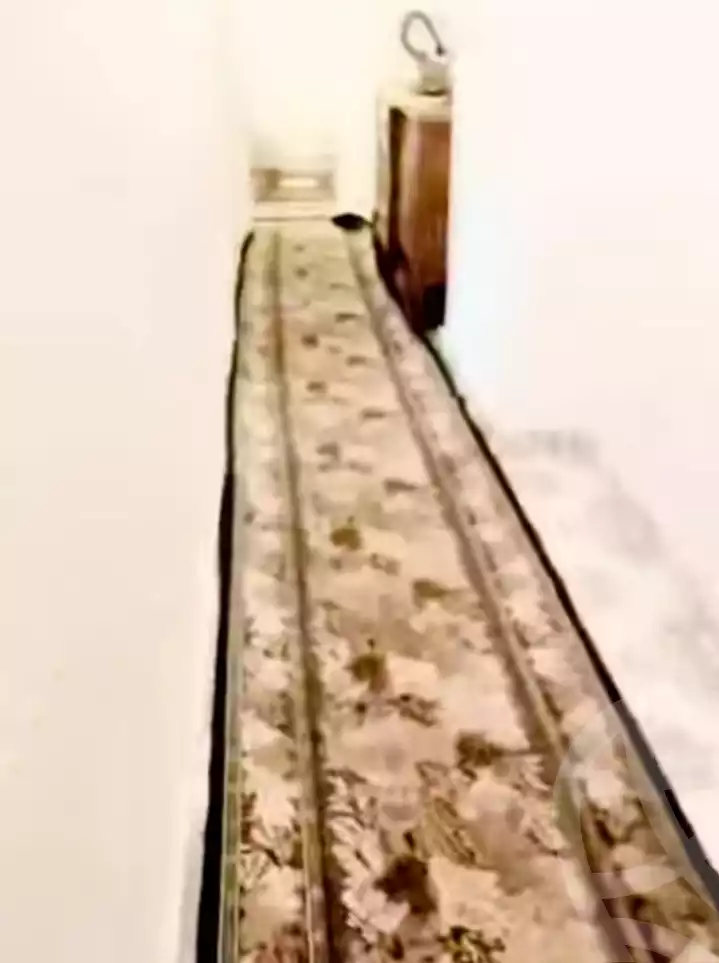 https://aqarmap.com.eg/en/listing/5556992-for-rent-alexandria-shds