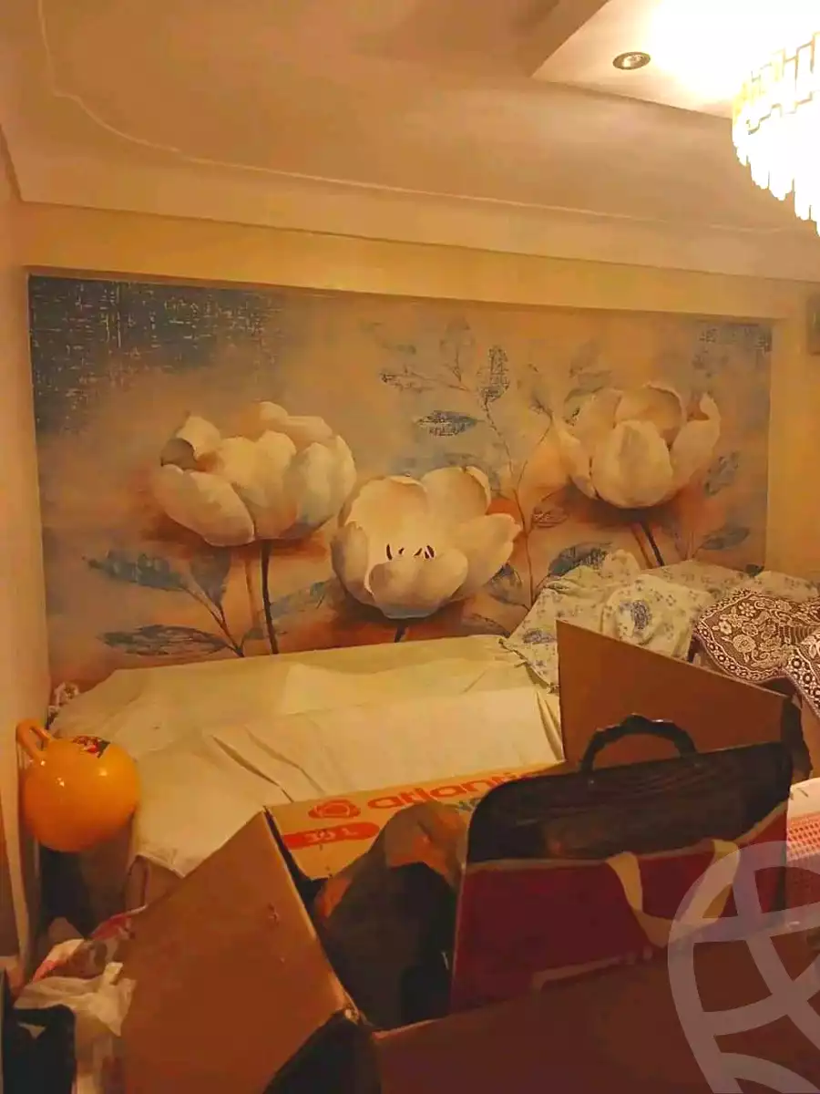 https://aqarmap.com.eg/en/listing/5569234-for-sale-alexandria-l-jmy-bw-ywsf
