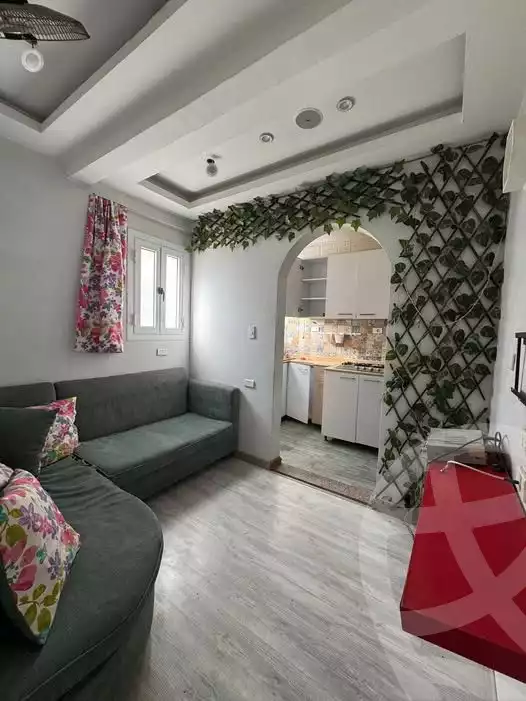 https://aqarmap.com.eg/en/listing/5572551-for-sale-cairo-el-agouza-shaheen-st