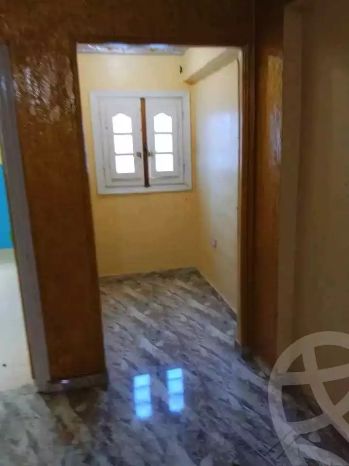 https://aqarmap.com.eg/ar/listing/5585038-for-rent-alexandria-l-jmy-lbytsh-el-hanafeya-st