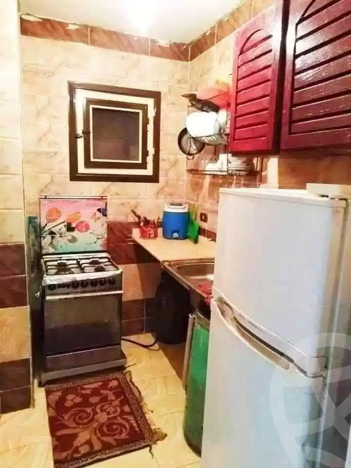https://aqarmap.com.eg/en/listing/5586051-for-rent-alexandria-miami-khld-bn-lwlyd