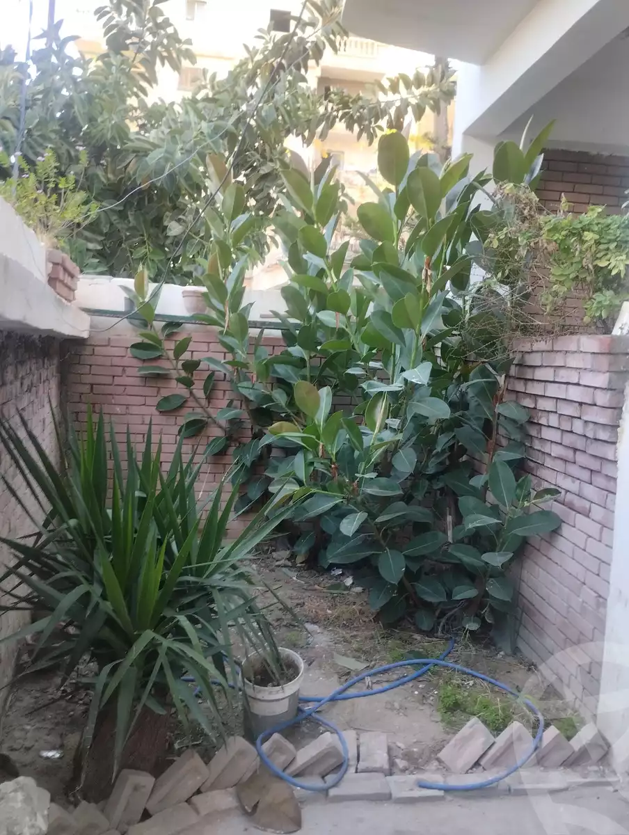 https://aqarmap.com.eg/ar/listing/5586892-for-sale-alexandria-el-hanouvel-al-asdakaa-st