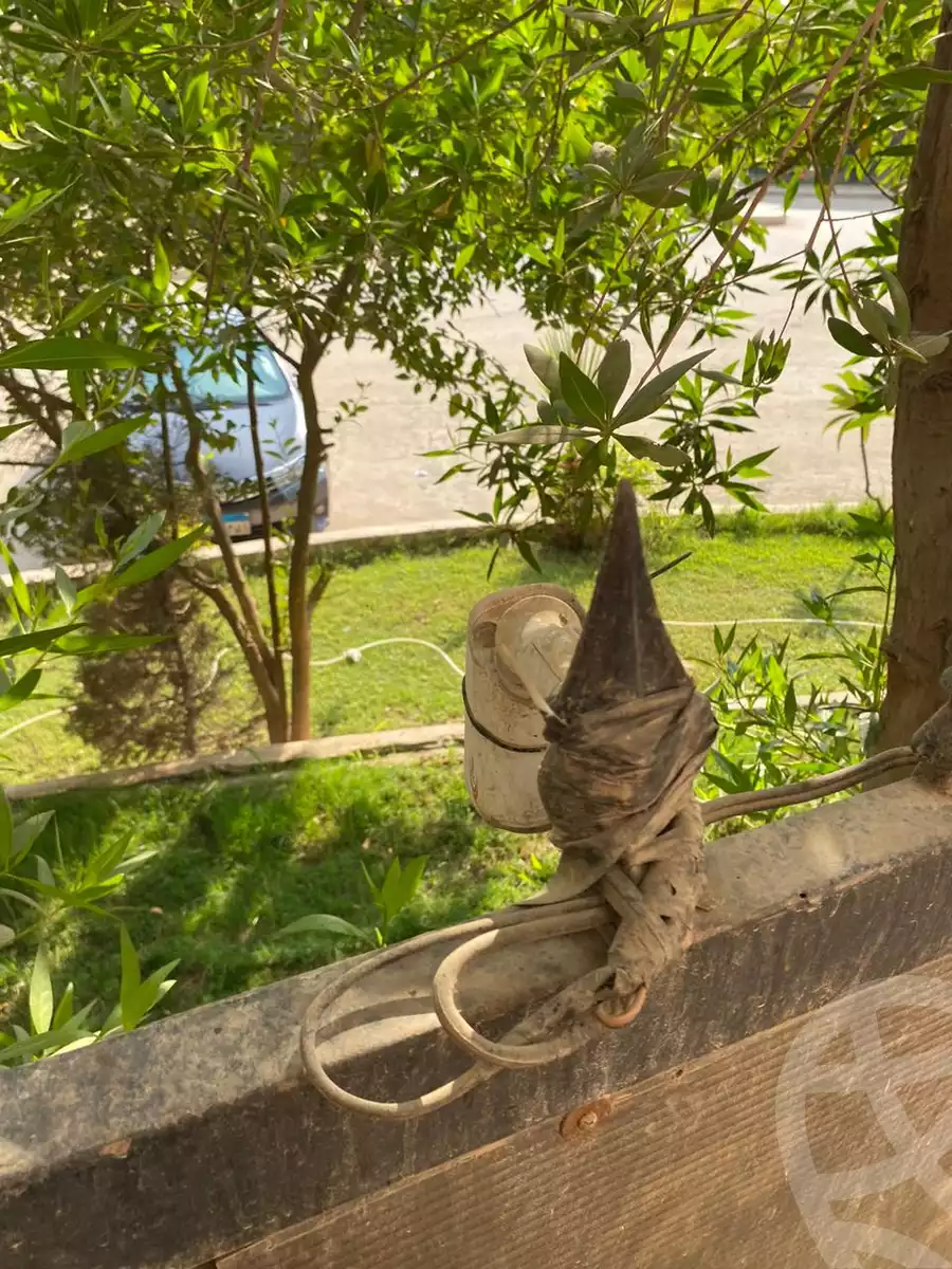 https://aqarmap.com.eg/en/listing/5587665-for-rent-cairo-new-cairo-el-choueifat-al-shouyfat-st