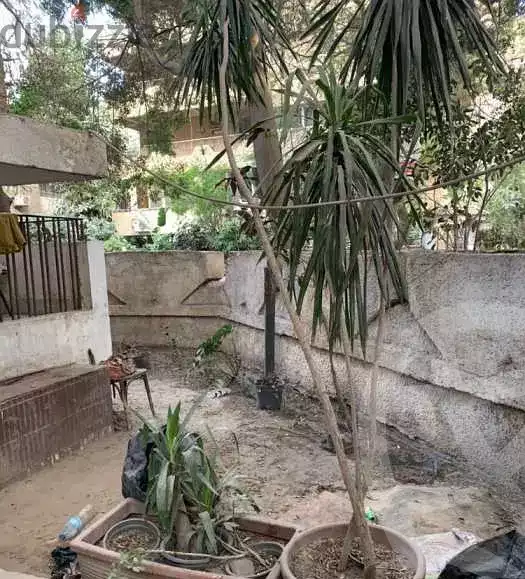 https://aqarmap.com.eg/en/listing/5589732-for-rent-cairo-el-mohandesen
