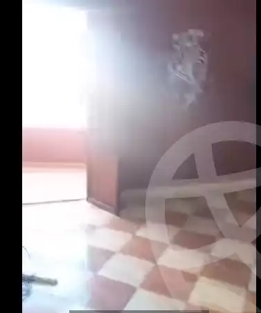 https://aqarmap.com.eg/en/listing/5907770-for-sale-cairo-faisal-el-tawabeq-hamad-yassin-st