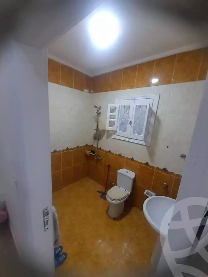 https://aqarmap.com.eg/en/listing/5908112-for-sale-alexandria-l-jmy-lbytsh-al-samalehy-2-st