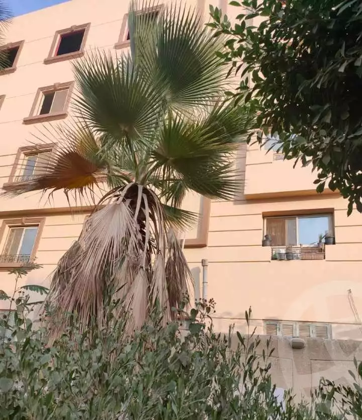 https://aqarmap.com.eg/en/listing/5604675-for-sale-cairo-mokattam-lhdb-l-ly-shr-17
