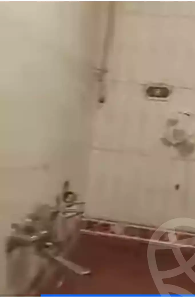 https://aqarmap.com.eg/ar/listing/5609321-for-rent-alexandria-sydy-bshr-sydy-bshr-bhry-gamal-abd-el-nasir-st