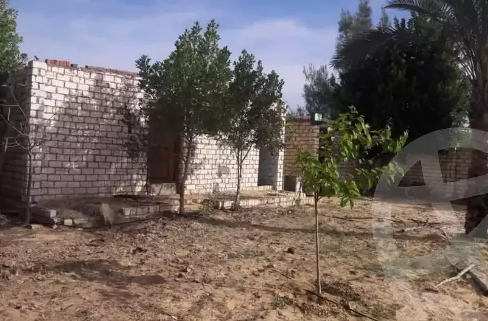 https://aqarmap.com.eg/en/listing/5612244-for-sale-beheira-wadi-el-natrun-bany-salama