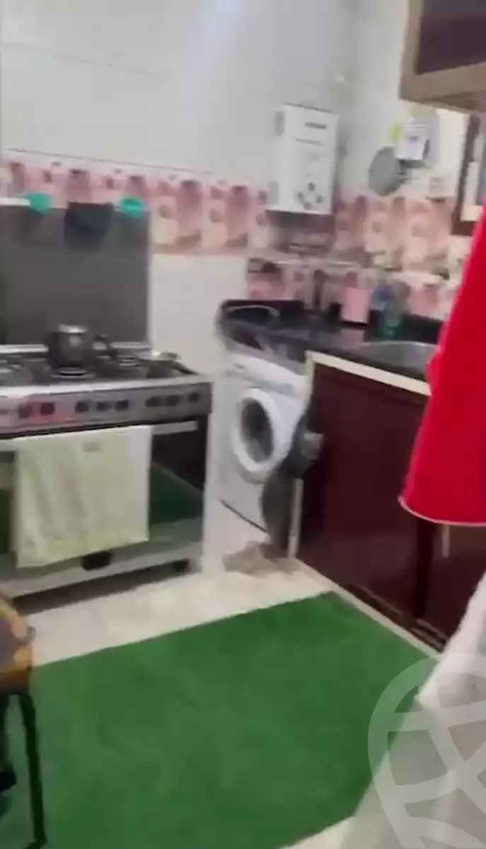 https://aqarmap.com.eg/en/listing/5612820-for-sale-alexandria-krmwz