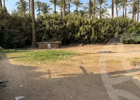 https://aqarmap.com.eg/en/listing/5618462-for-sale-cairo-el-mansuriyyah