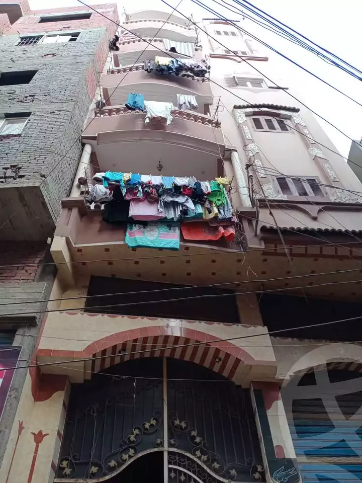 https://aqarmap.com.eg/en/listing/5620412-for-sale-dakahlia-mansoura-menyet-sandob