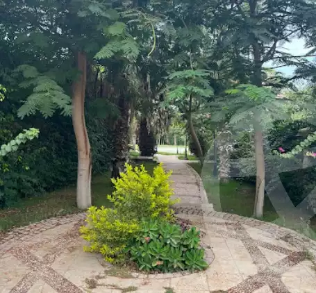 https://aqarmap.com.eg/en/listing/5623620-for-rent-cairo-el-sheikh-zayed-city-compounds-greens