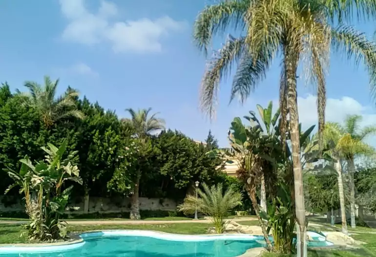 https://aqarmap.com.eg/en/listing/5623620-for-rent-cairo-el-sheikh-zayed-city-compounds-greens