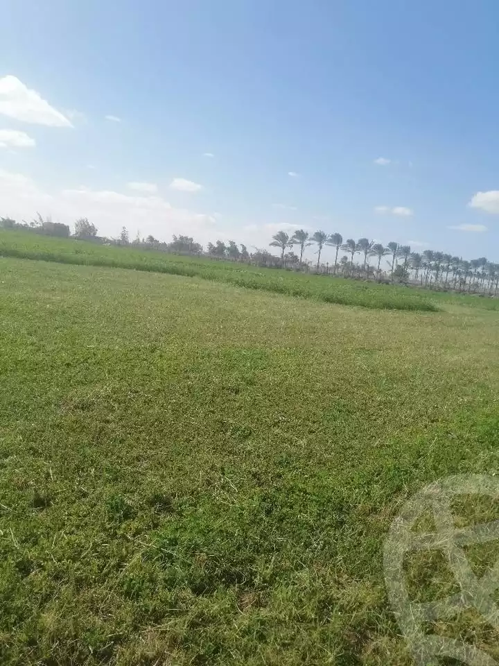 https://aqarmap.com.eg/en/listing/5634171-for-sale-alexandria-cairo-alexandria-desert-road