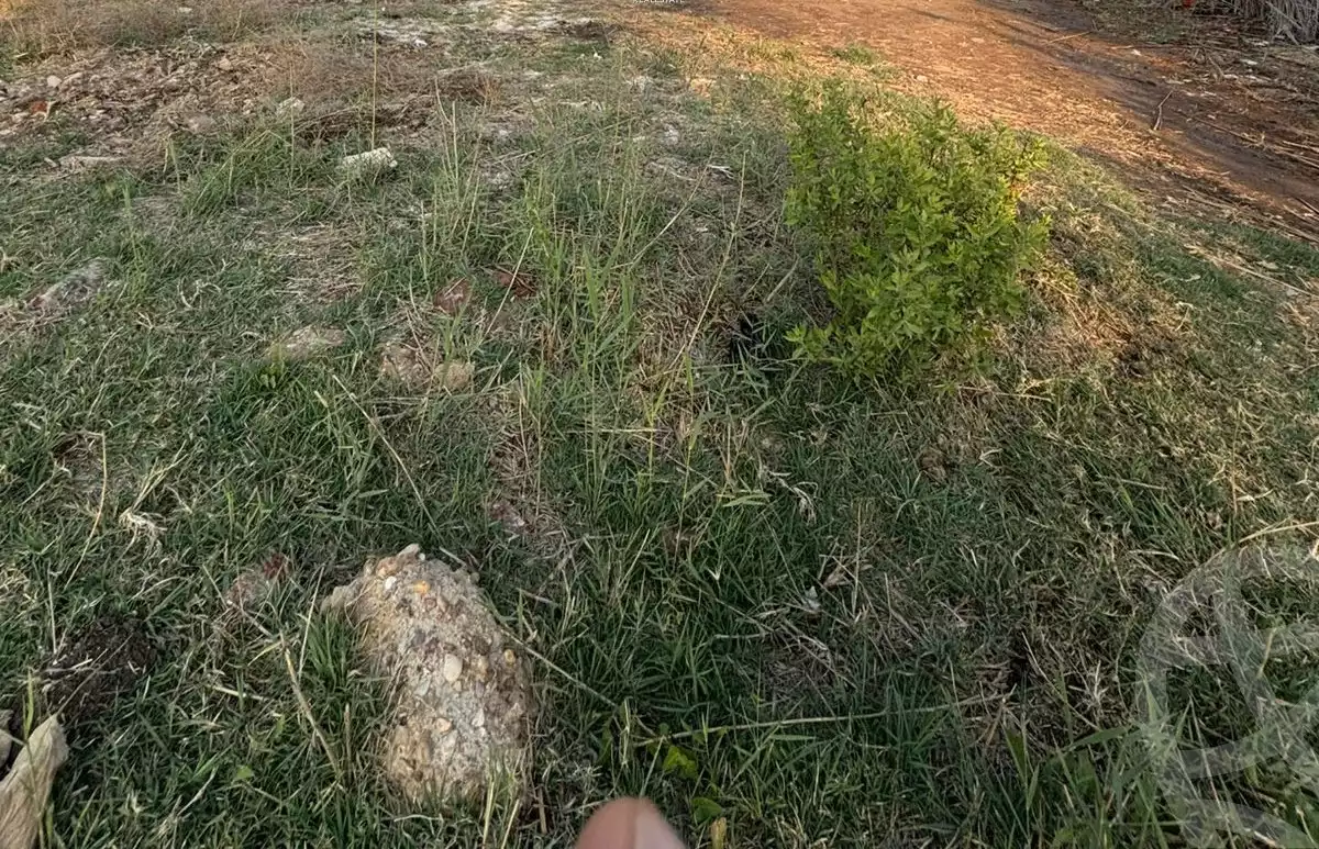 https://aqarmap.com.eg/en/listing/5635423-for-sale-dakahlia-belqas
