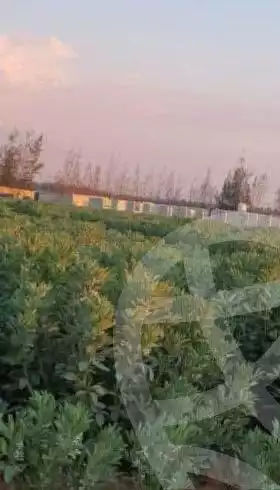 https://aqarmap.com.eg/en/listing/5639655-for-sale-alexandria-cairo-alexandria-desert-road