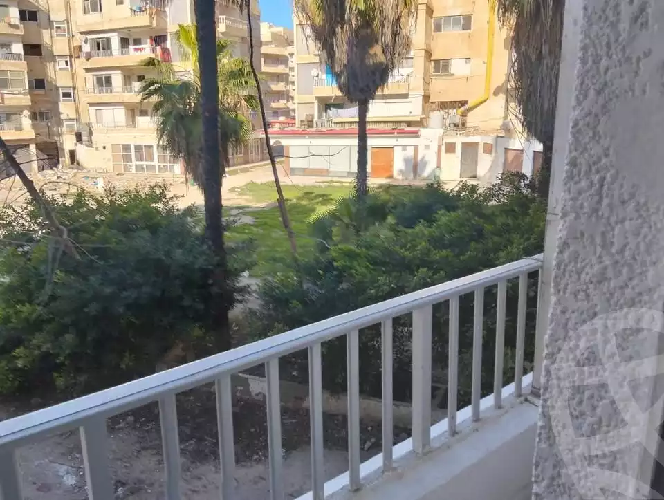 https://aqarmap.com.eg/en/listing/5650767-for-rent-alexandria-l-jmy-shataa-el-nakheel