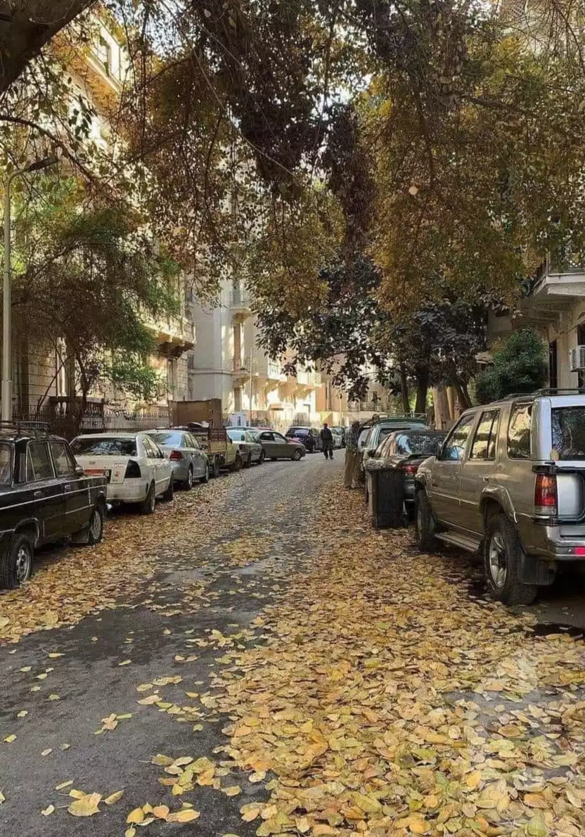 https://aqarmap.com.eg/ar/listing/5642684-for-sale-cairo-garden-city-aesha-al-taymorya-st