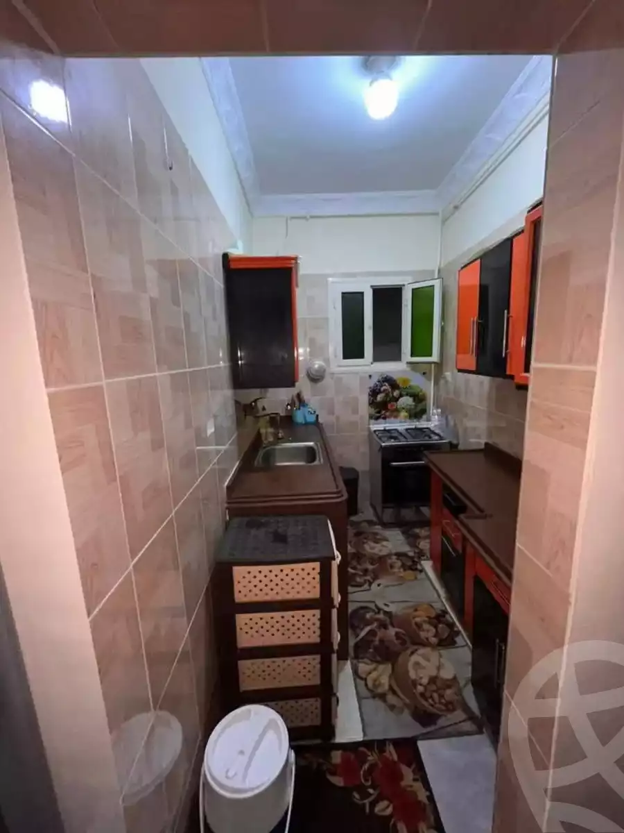 https://aqarmap.com.eg/en/listing/5658151-for-sale-alexandria-l-jmy-lbytsh-al-kaada-st