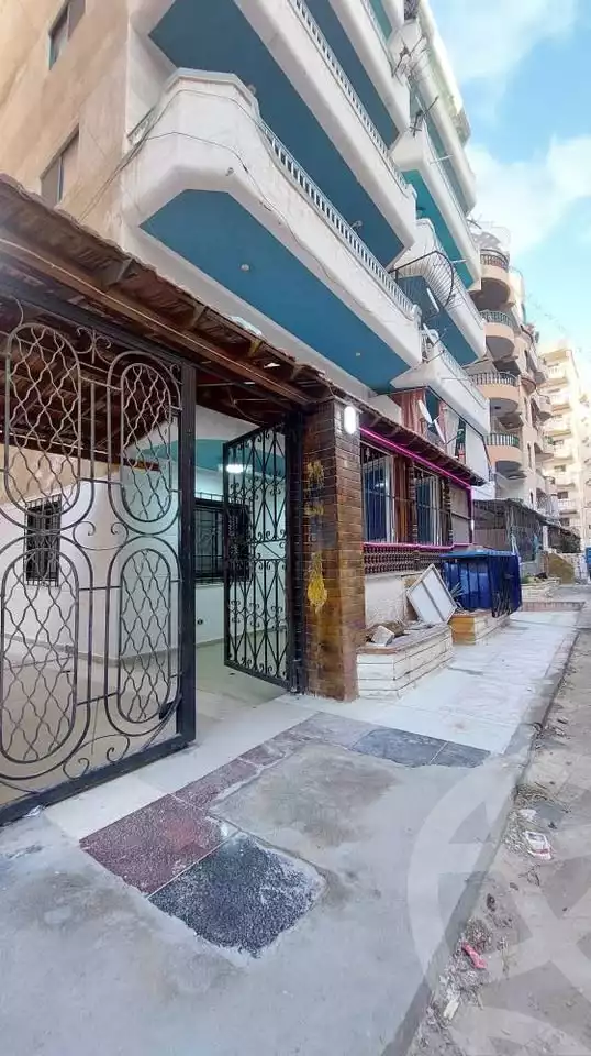 https://aqarmap.com.eg/ar/listing/5673354-for-sale-alexandria-l-jmy-shataa-el-nakheel