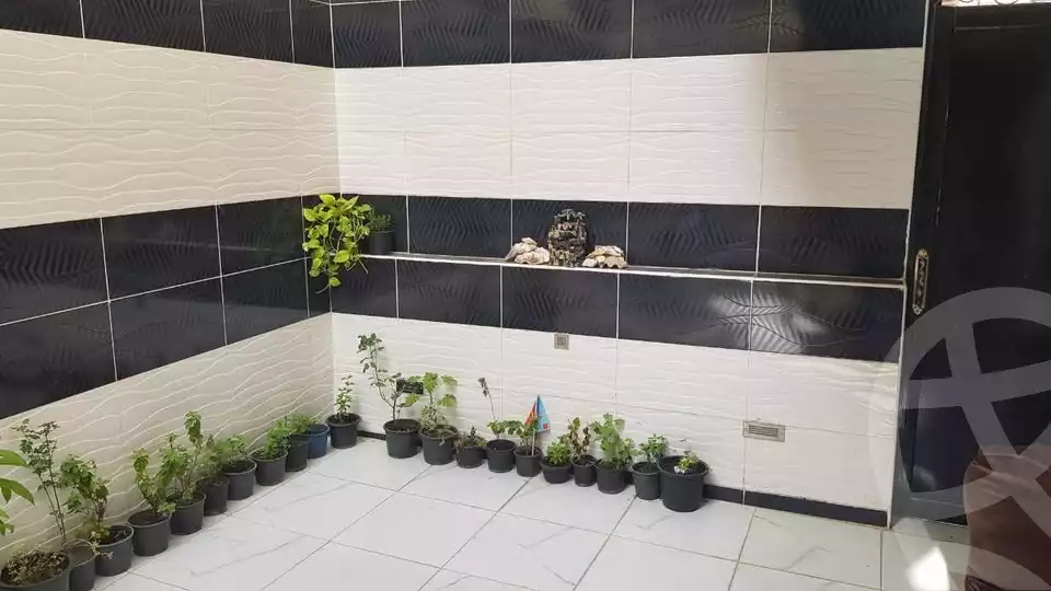 https://aqarmap.com.eg/ar/listing/5678695-for-rent-alexandria-sporting-shr-bwr-s-yd