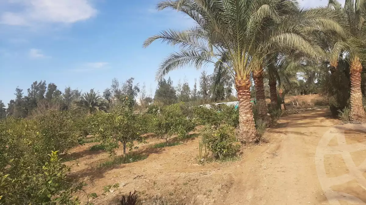 https://aqarmap.com.eg/en/listing/5685001-for-sale-suez-el-ganain-geneffe