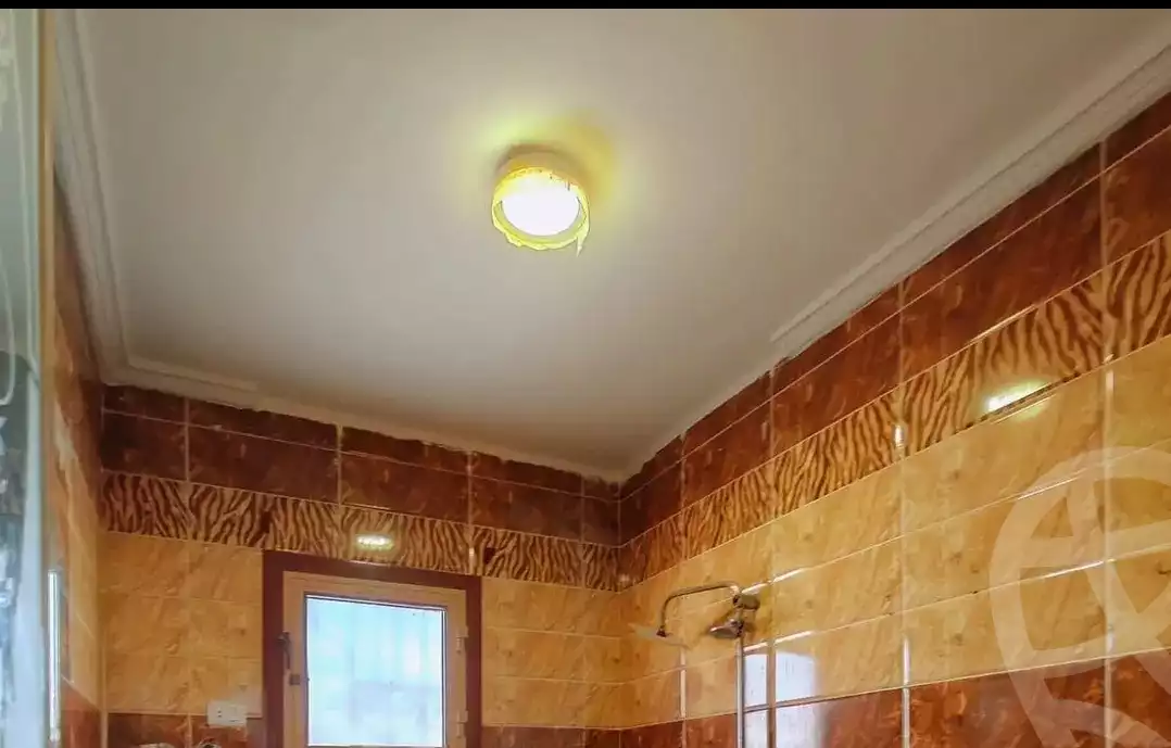 https://aqarmap.com.eg/en/listing/5687780-for-sale-alexandria-l-jmy-lbytsh-mohamed-el-fardi-st