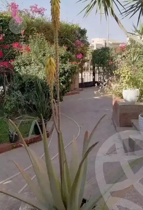https://aqarmap.com.eg/en/listing/5690642-for-sale-cairo-el-shorouk