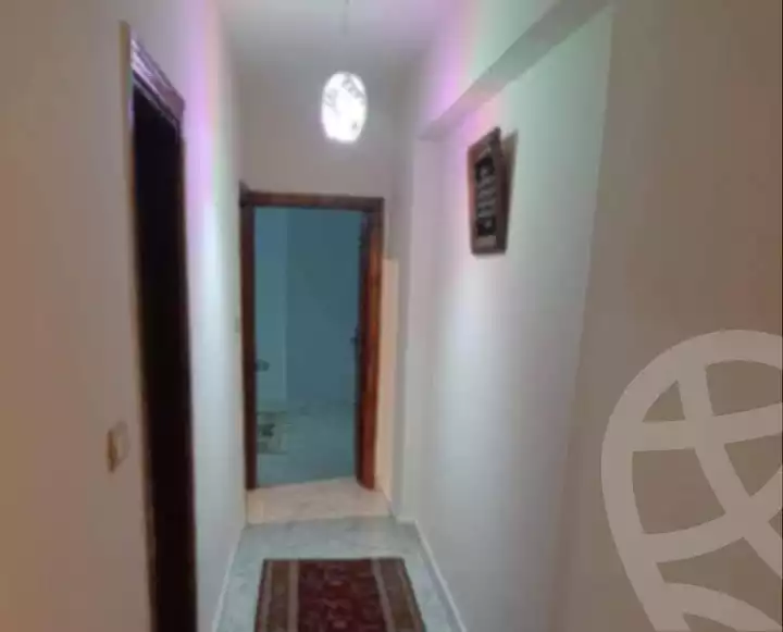 https://aqarmap.com.eg/en/listing/5694503-for-sale-alexandria-l-jmy-lbytsh-al-kaada-st