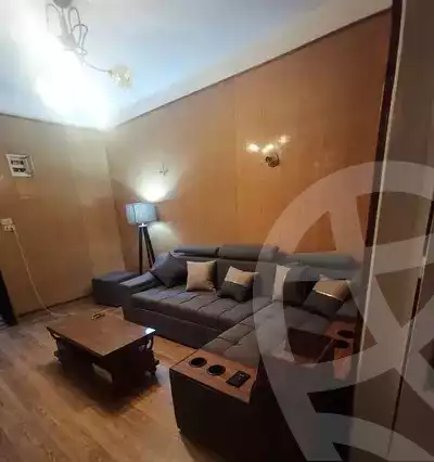 https://aqarmap.com.eg/en/listing/5696687-for-rent-cairo-manial