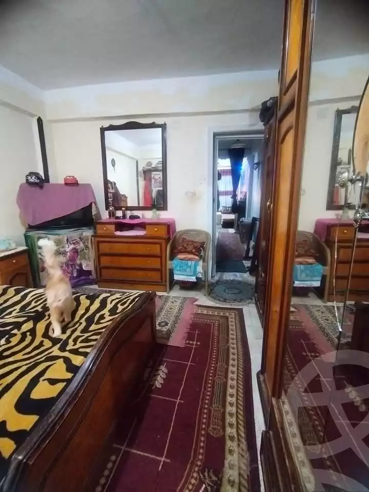 https://aqarmap.com.eg/en/listing/5699305-for-sale-alexandria-l-jmy-lbytsh-el-hay-st