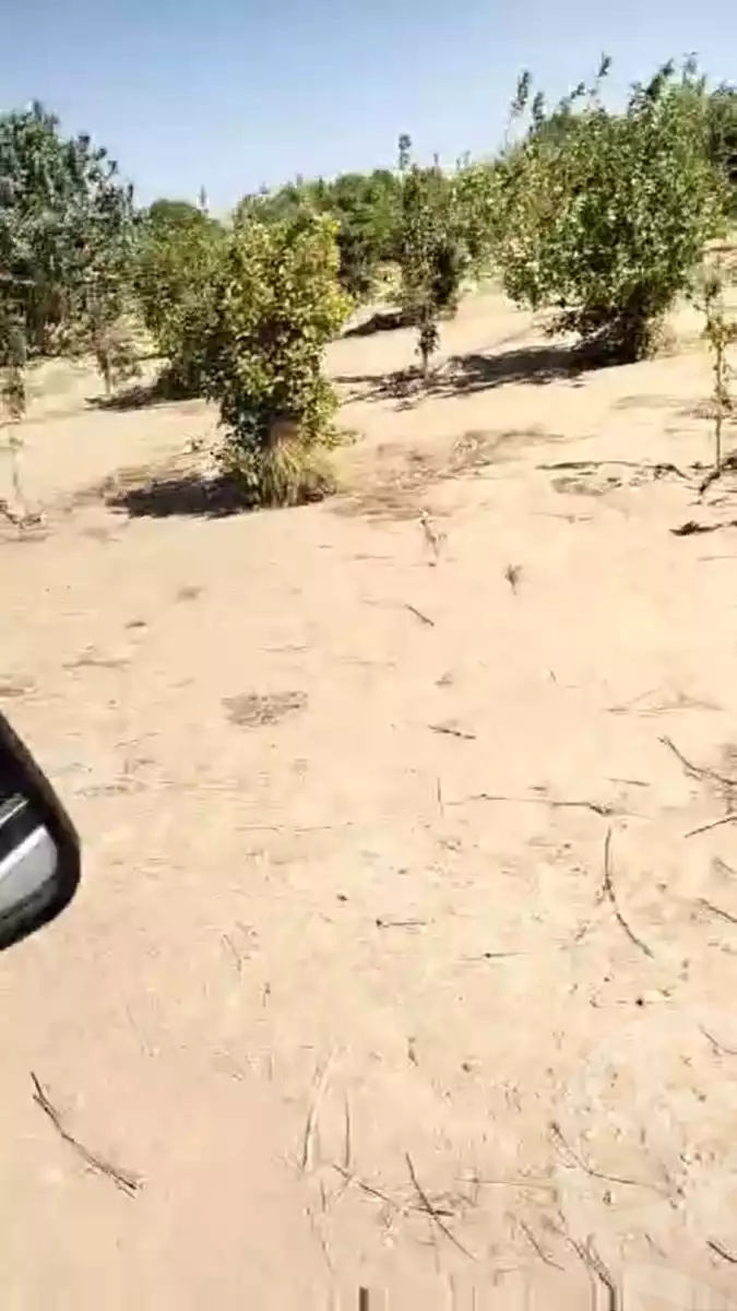 https://aqarmap.com.eg/ar/listing/5701381-for-sale-cairo-ljyz-bahariya-oasis