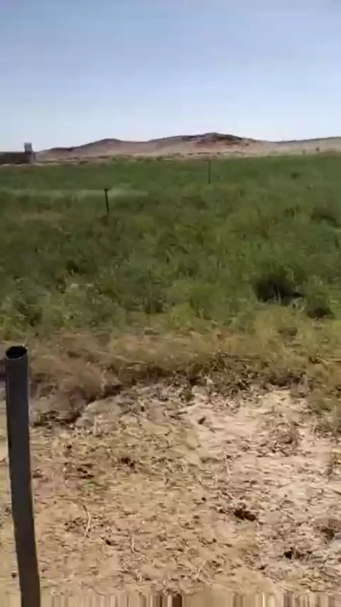 https://aqarmap.com.eg/ar/listing/5701381-for-sale-cairo-ljyz-bahariya-oasis
