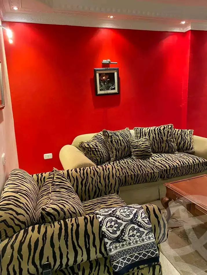 https://aqarmap.com.eg/en/listing/5702387-for-rent-cairo-nasr-city-9th-zone